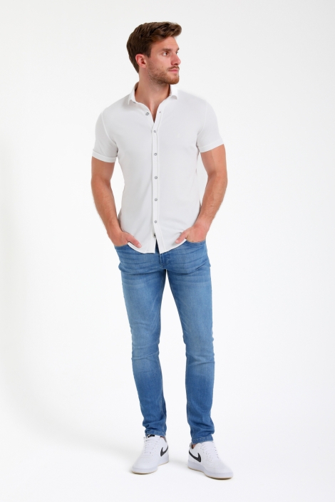 Gabbiano 335535